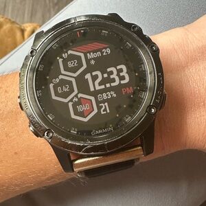 garmin fenix 5x plus